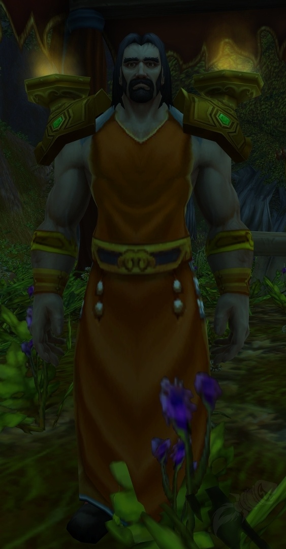 Redridge Flame Warden NPC World of Warcraft