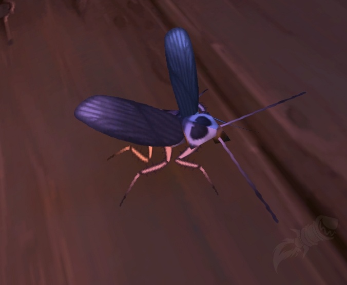 Cucaracha Experimental Pnj World Of Warcraft