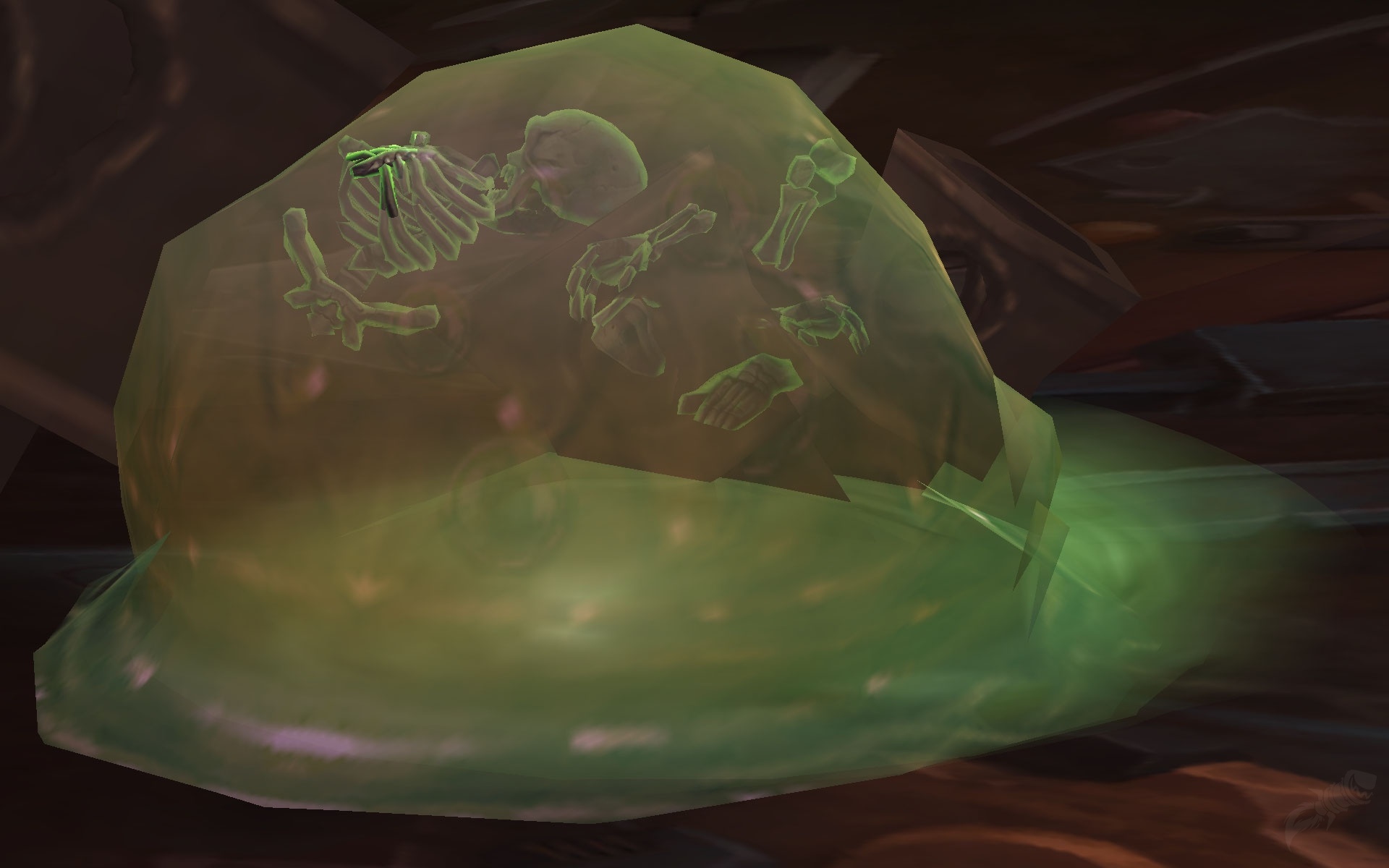 侏儒飨宴者 Npc 魔兽世界