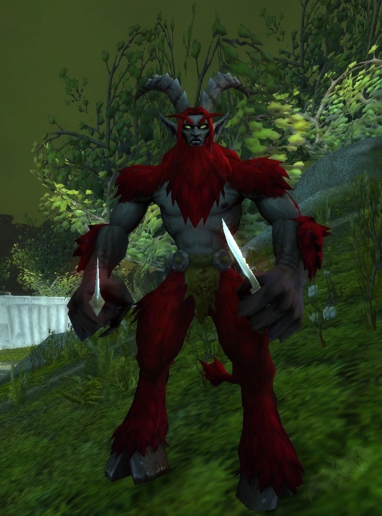 Voleur Fielfurie PNJ World of Warcraft