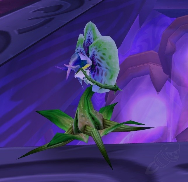 Grüner Setzling NPC World of Warcraft