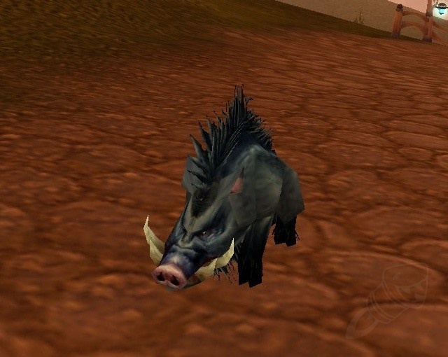 Swift Discipline Quest TBC Classic