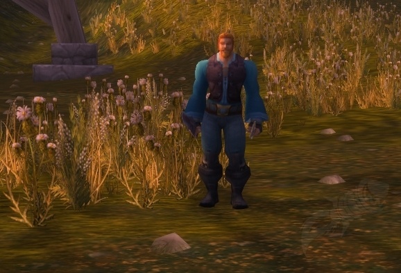 How hijackers tried to steal my World of Warcraft character