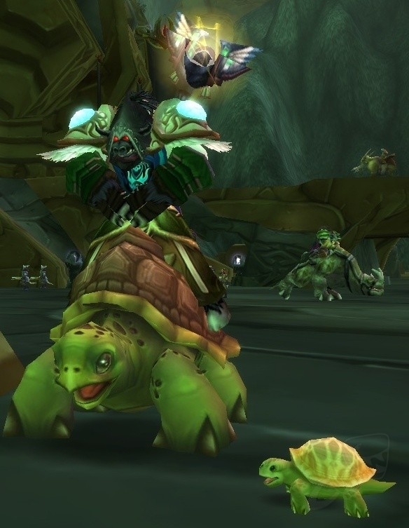 riding turtle wow tbc 2.4.3