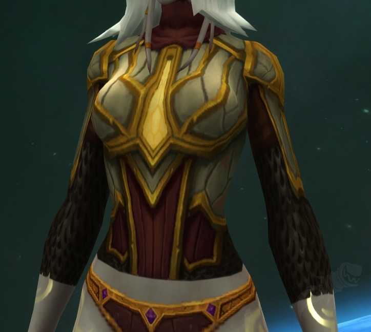 Chestguard Item World of Warcraft