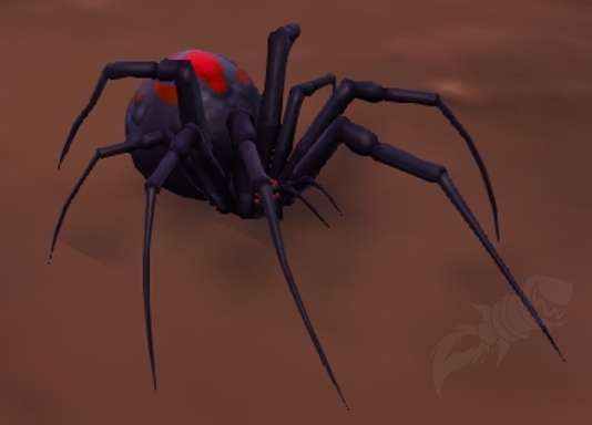 Spider black wow widow Spider