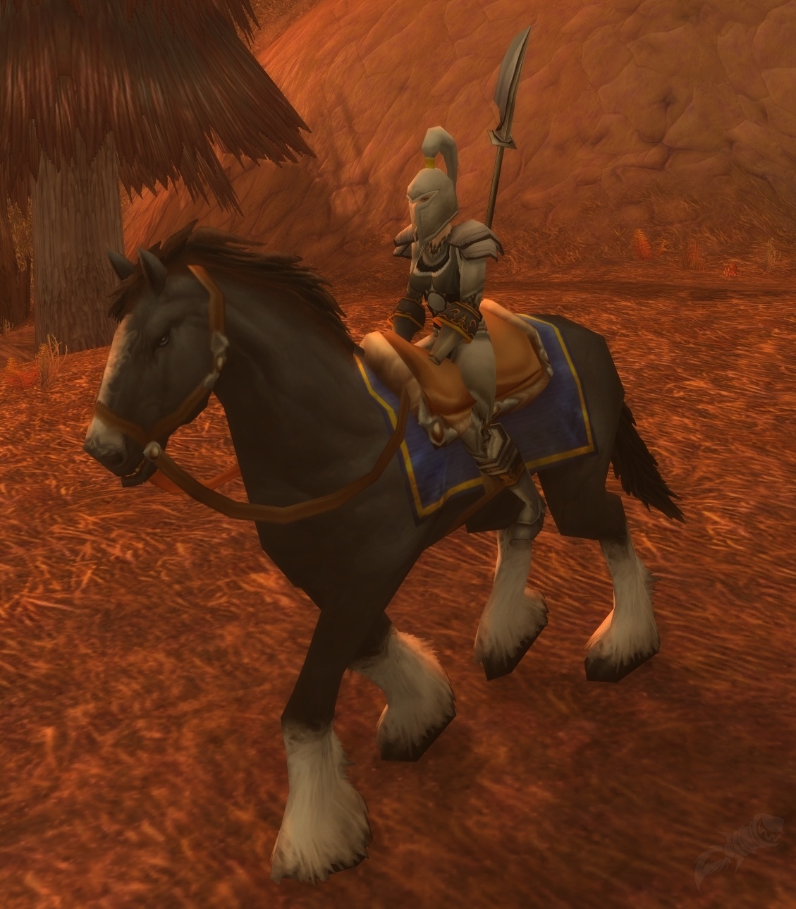 Cavalier De L Aube D argent PNJ World Of Warcraft