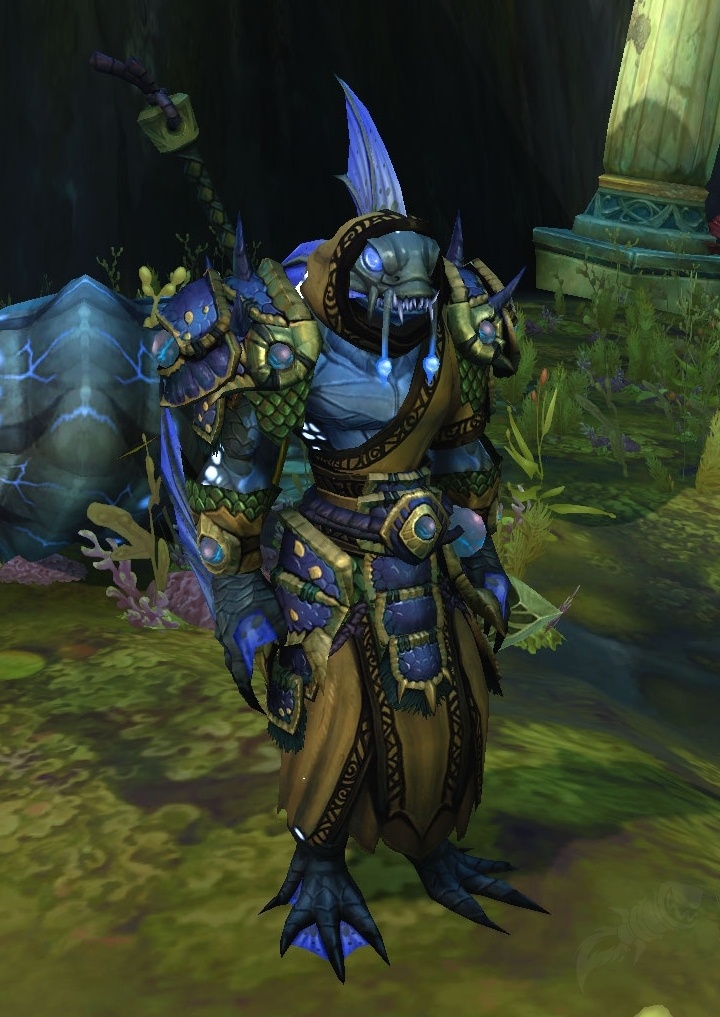 Blademaster Okani NPC World of Warcraft
