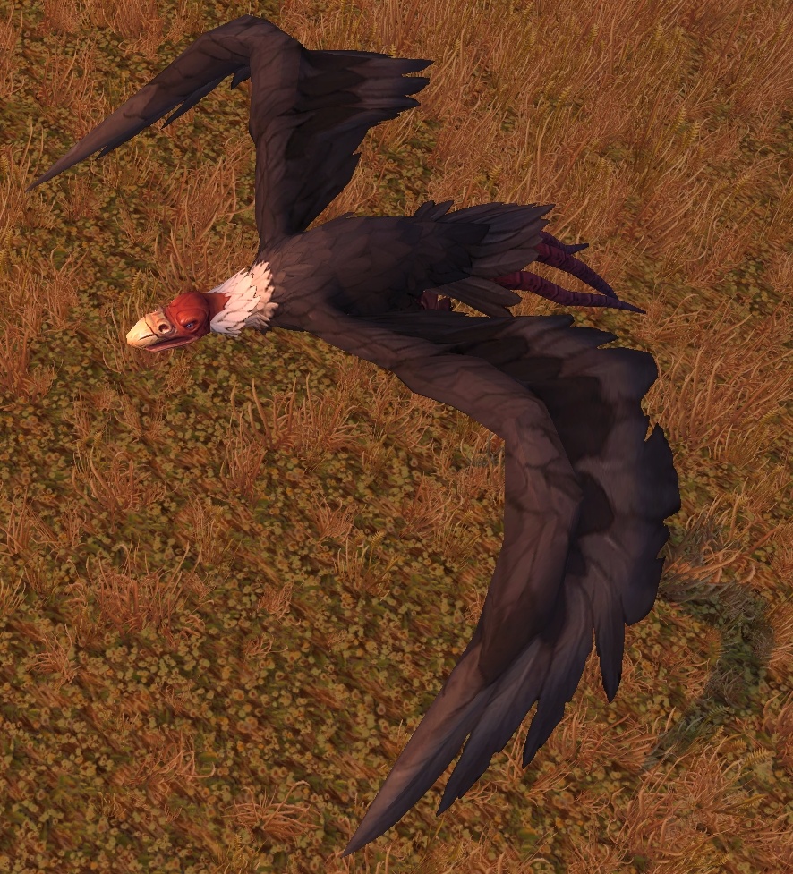 Barrens Vulture - NPC - World of Warcraft