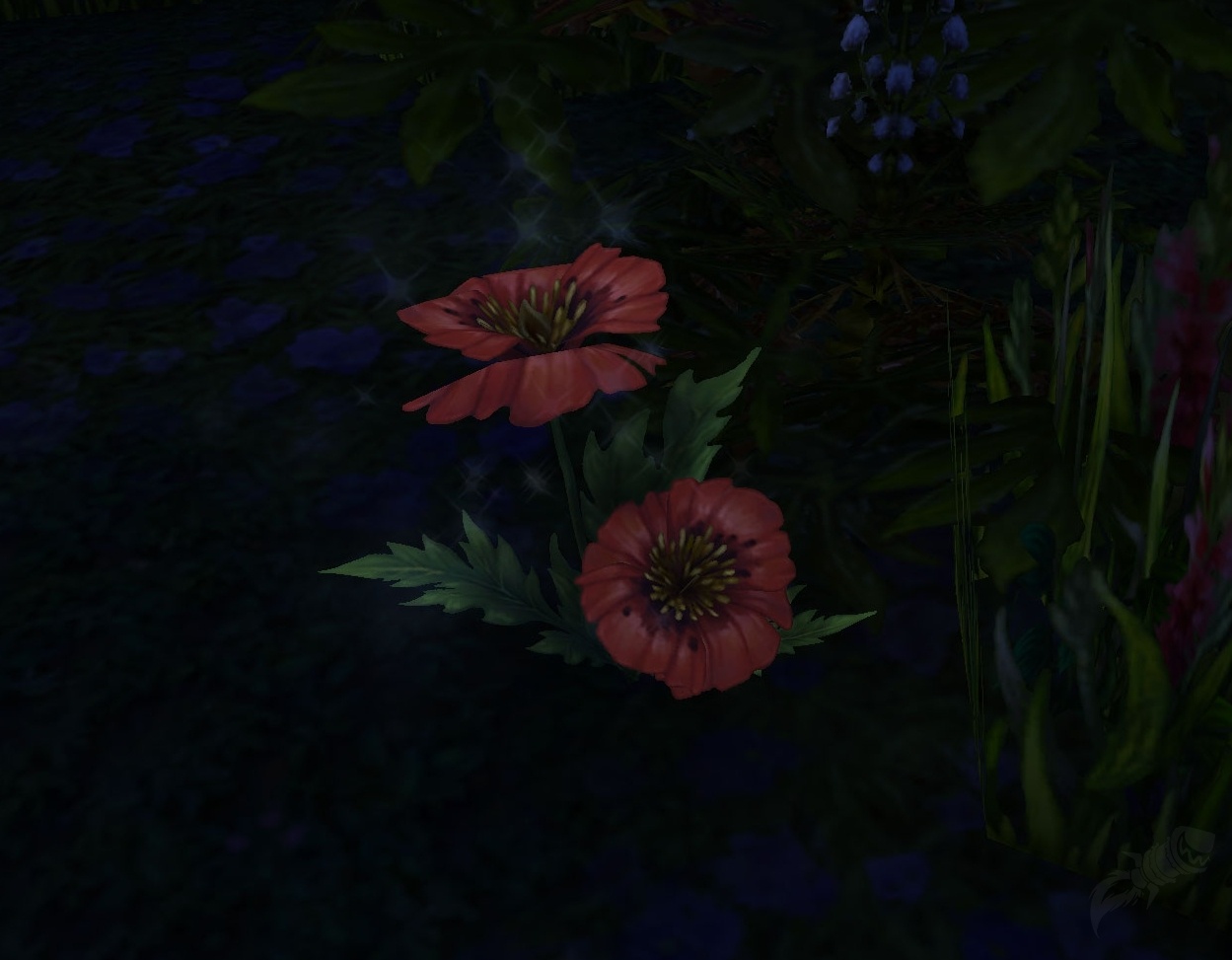 flower-of-compassion-item-world-of-warcraft