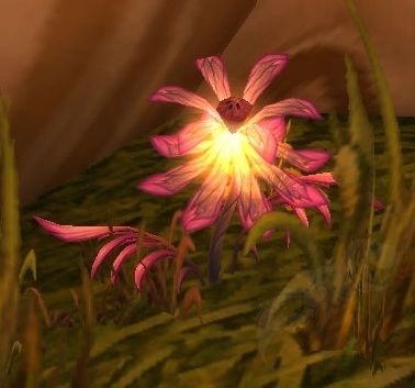 勇气花冠 任务 魔兽世界