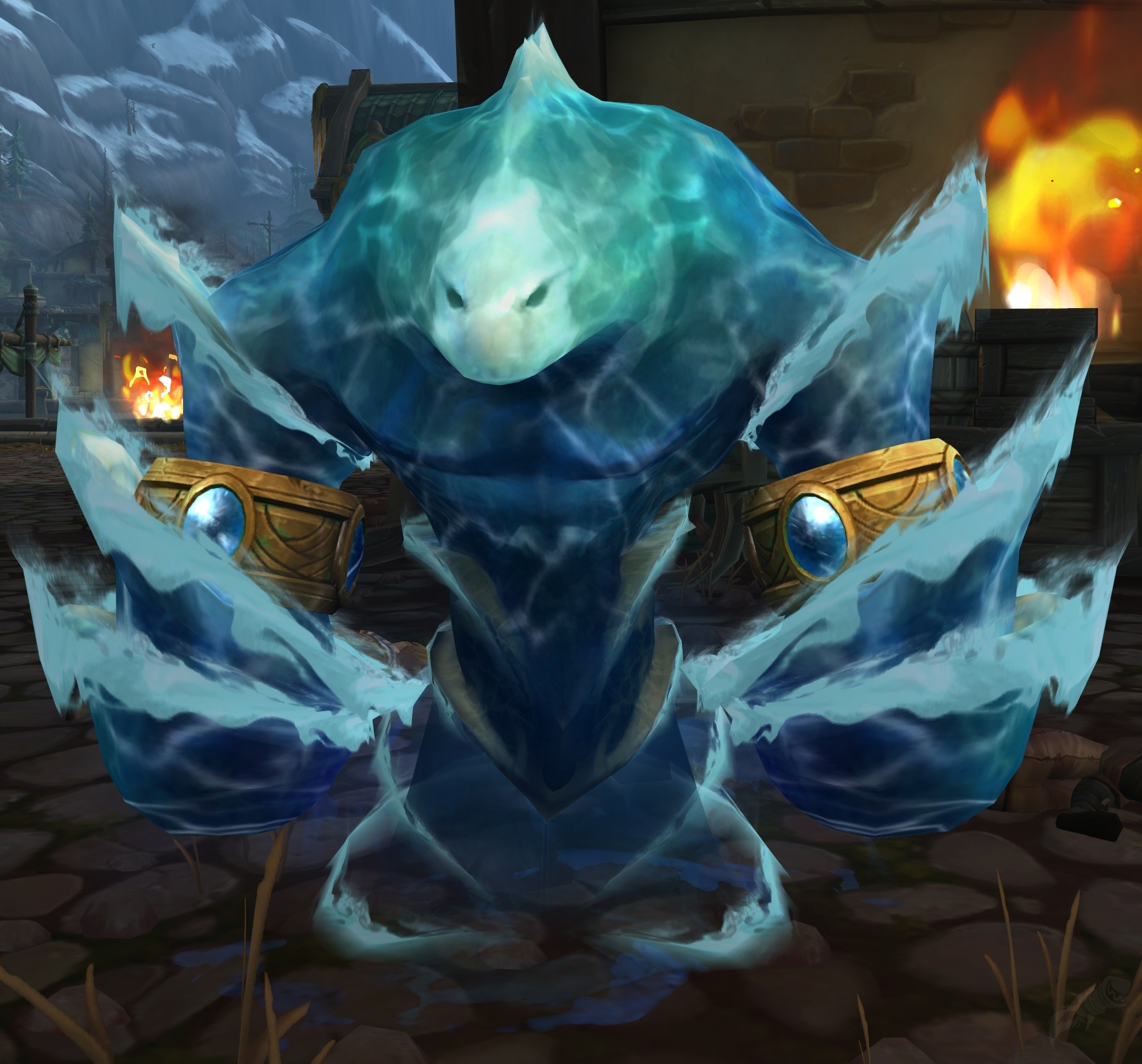 Water Elemental NPC World of Warcraft