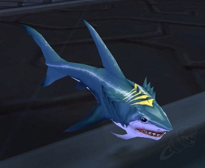 Bebe Requin Objet World Of Warcraft