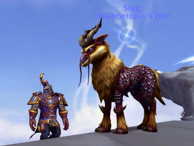 Tamable Windsteed Hunter Pet Found In Shadowlands Alpha Wowhead News