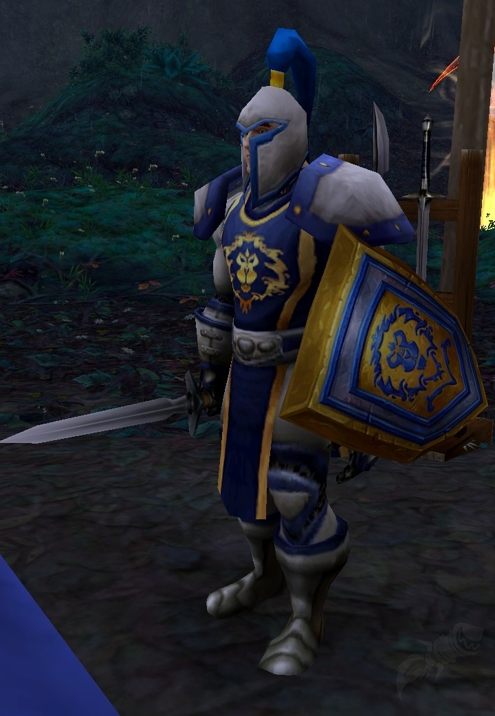 Soldado Raso da Muralha de Escudos - PNJ - World of Warcraft