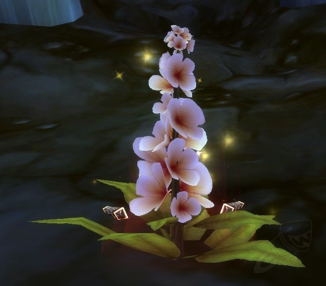 Ruby Lilac - Object - World of Warcraft