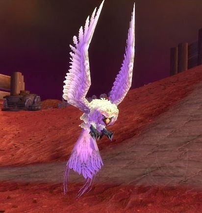 Winterspring Owl - PNG - WotLK classico