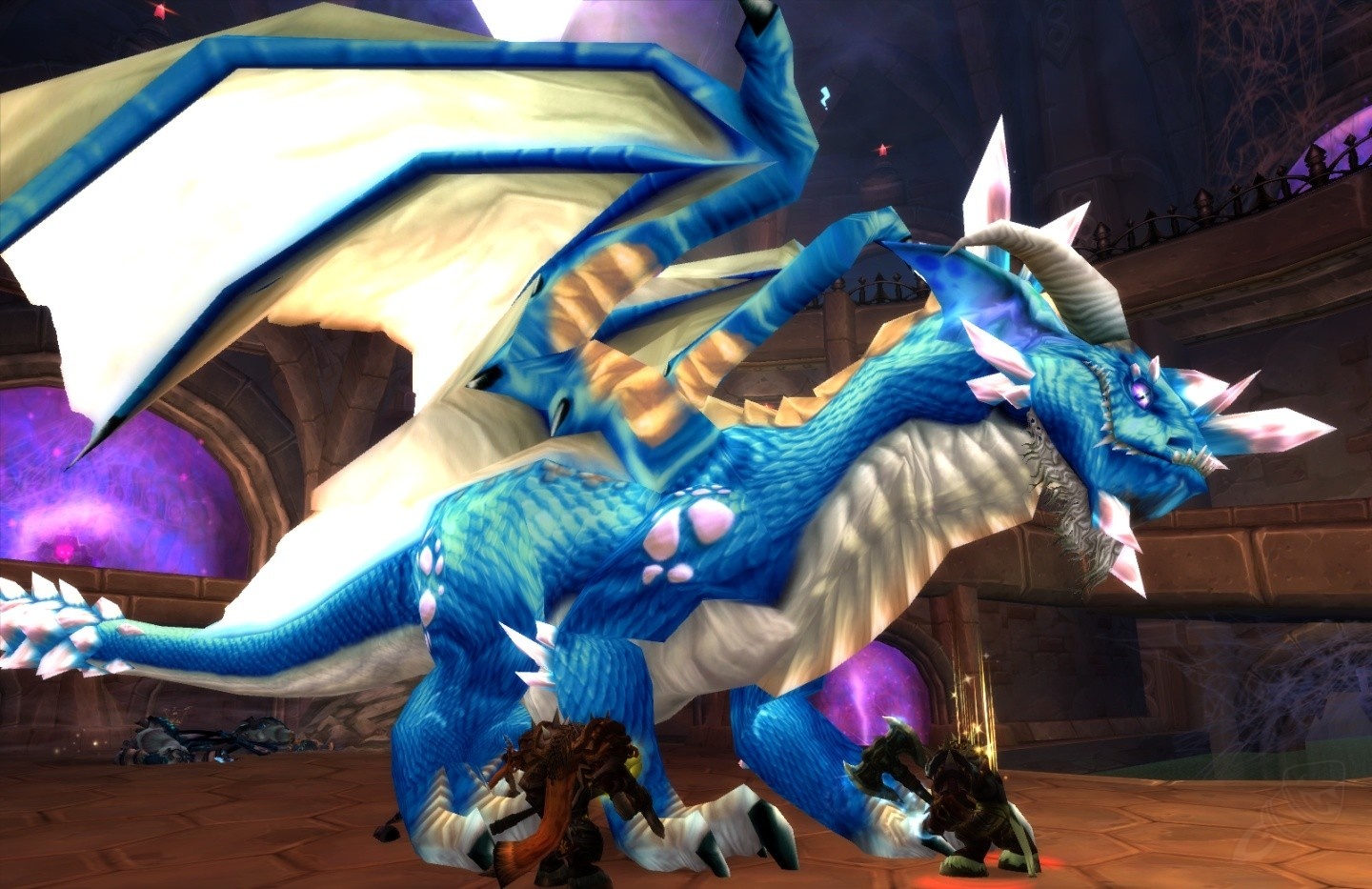 малигос вов 3. 3 5. 3 5. малигос заклинатель варкрафт. маунт малигос.