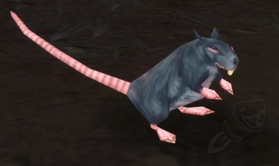 Rato Gigante de Esgoto - Item - WotLK Classic