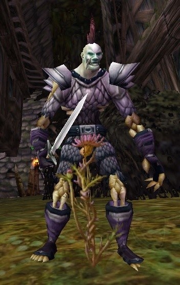 executor-arren-pnj-wotlk-classic