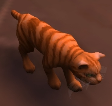 Chat Tigre Roux Pnj World Of Warcraft