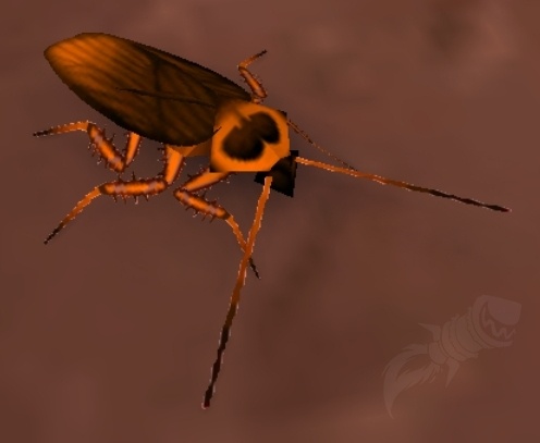 Cucaracha Pnj World Of Warcraft