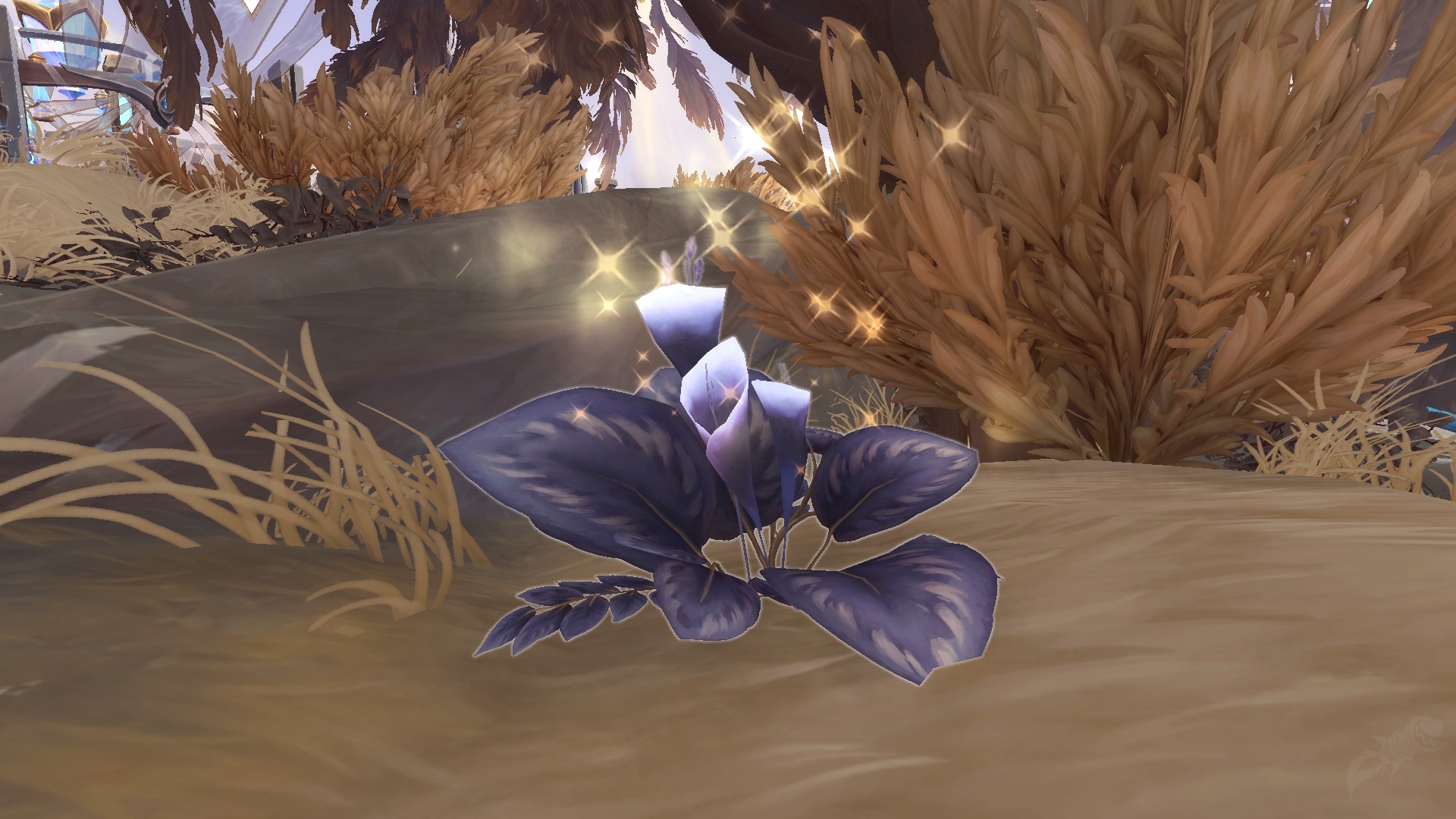 Adrima's Lily - Object - World of Warcraft