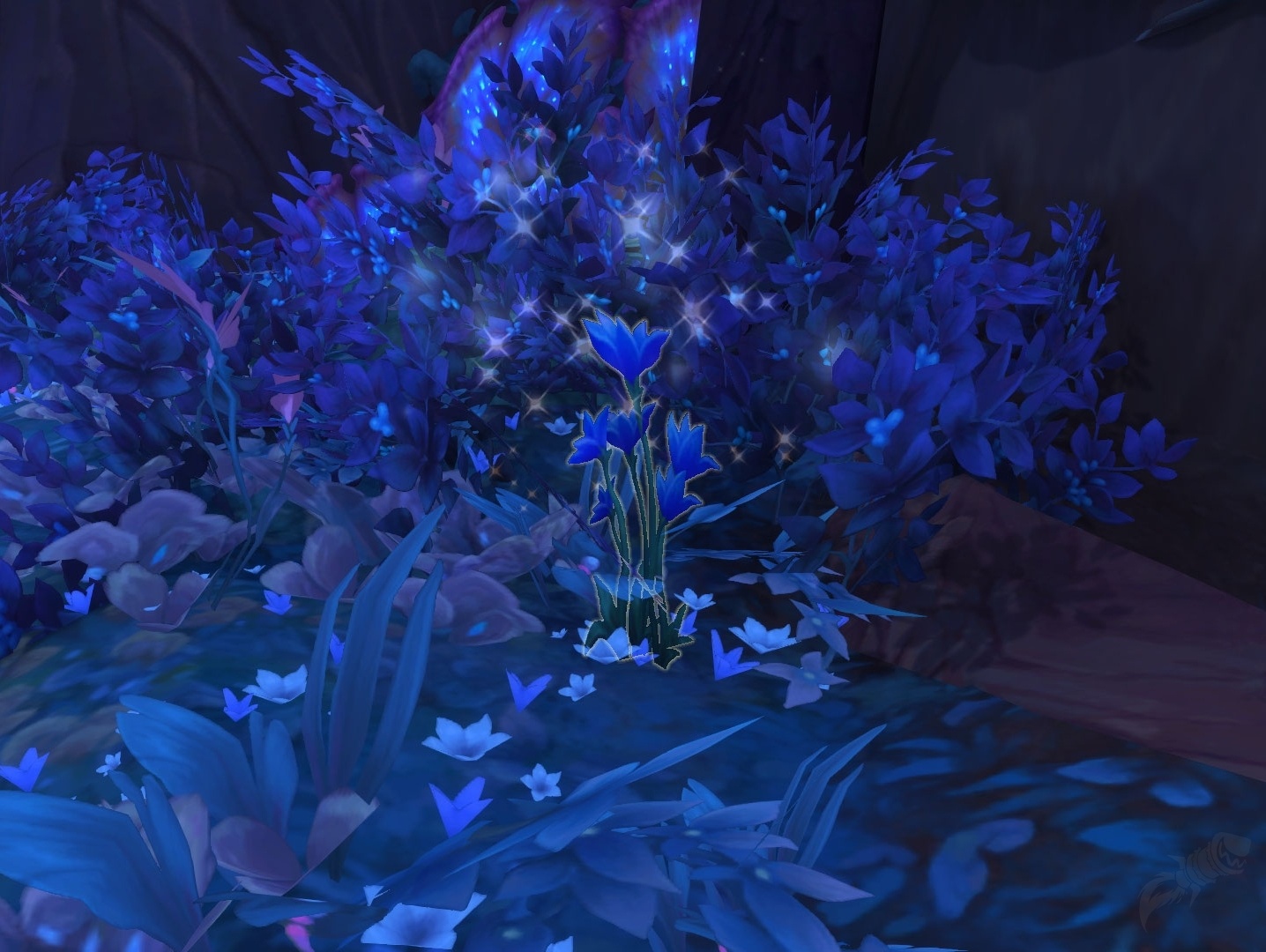 Night Lily - Item - World of Warcraft
