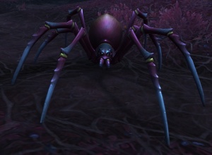 Dread Crawler - NPC - World of Warcraft