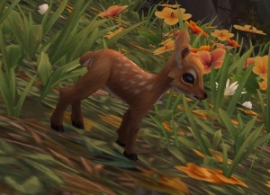 斑点母鹿 Npc 魔兽世界