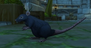 Stormwind Rat NPC World of Warcraft