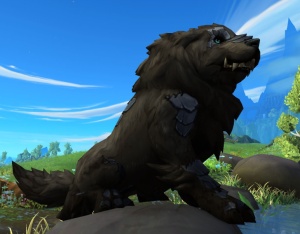 Сою - NPC - World of Warcraft