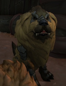 Винъю - NPC - World of Warcraft