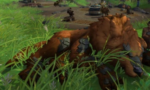Тайван - NPC - World of Warcraft