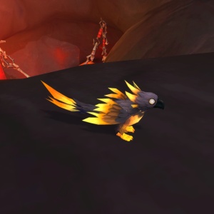 Phoenix Wishwing NPC World of Warcraft