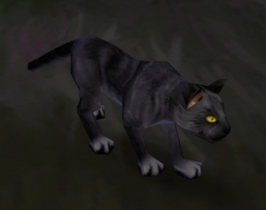 panier chat noir wow