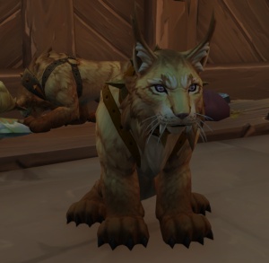 Iggy - NPC - World of Warcraft