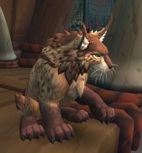 Taka wow Taka - NPC - World of Warcraft