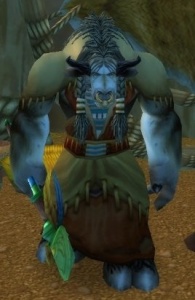 Tyurak Runicheskij Totem Npc Klassicheskij World Of Warcraft