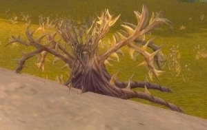 Goldthorn Object Classic World Of Warcraft