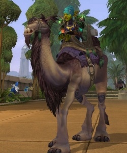 Reins of the Brown Riding Camel - Item - World of Warcraft