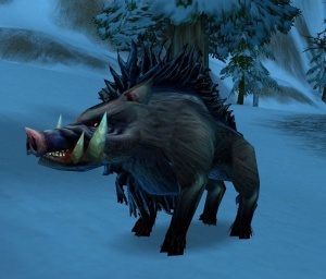 Elder Crag Boar - NPC - Classic World of Warcraft