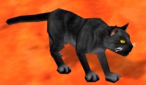 bombay cat npc world