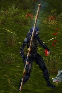 忍者装束 法术 魔兽世界