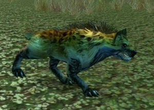 Dishu Tame Rare Spawn Cat In Northern Barrens Youtube