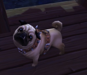 Pug - NPC - World of Warcraft