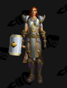 Human Female Paladin Outfit 9 1 0 Ptr - roblox female paladin armor bottom