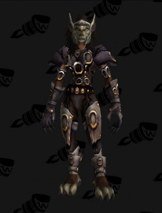 Green Leather Armor Wow Classic / Hidden Special Vendors In Wow Classic ...