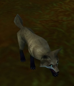 Arctic Fox Kit Wowhead