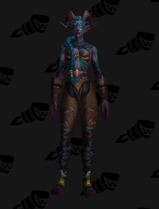 Demon Hunter Outfit World Of Warcraft